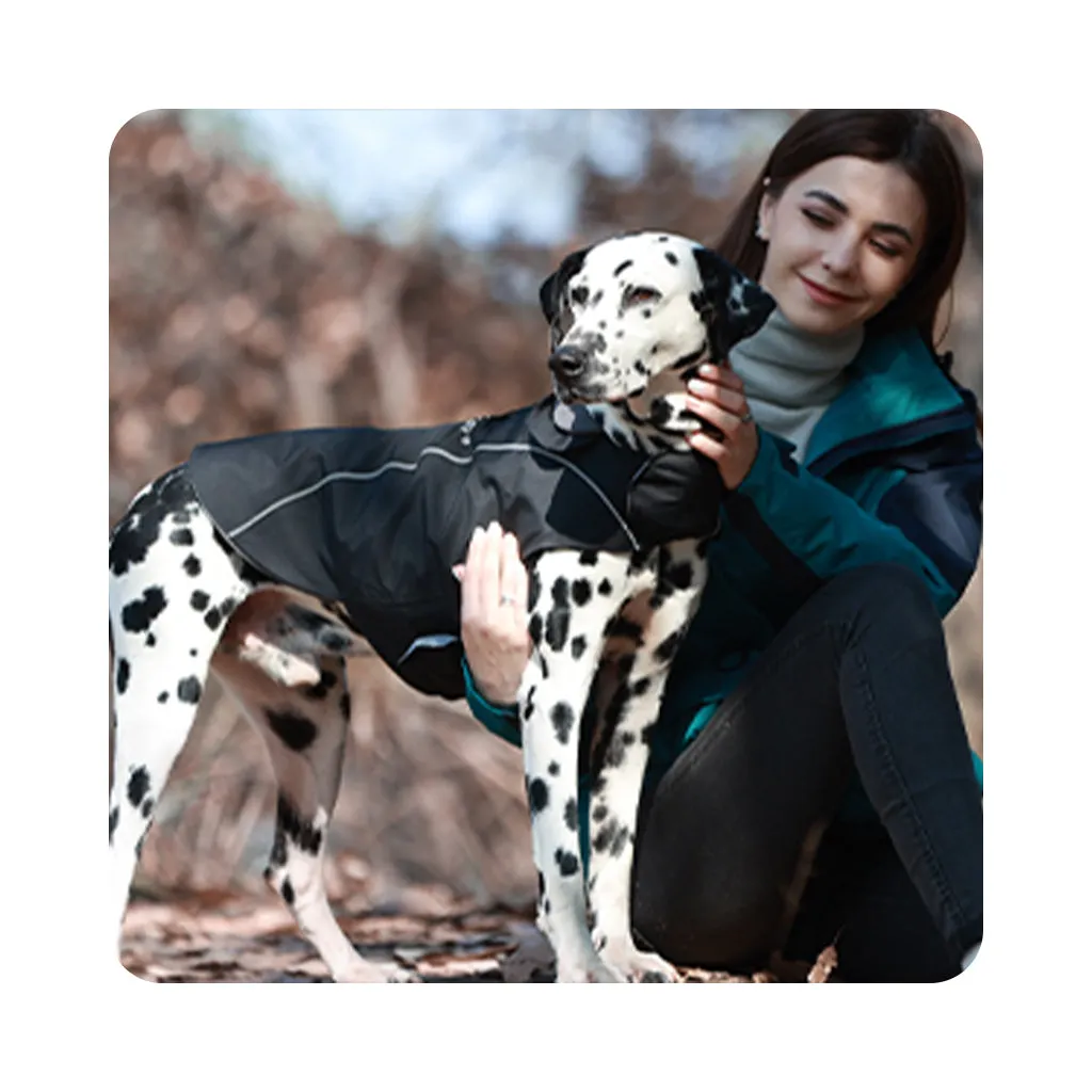 VIVAGLORY new 3-in-1 Dog Winter Coats, Reflective Water-Resistant Wind Breaker Jackets & Fleece Lined Cold Weather Vest, Warm Sweater with Leash Portal, Dog Clothes for Small Medium Large Dogs
